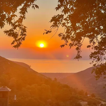 Matias Kastanies With Privat Parking