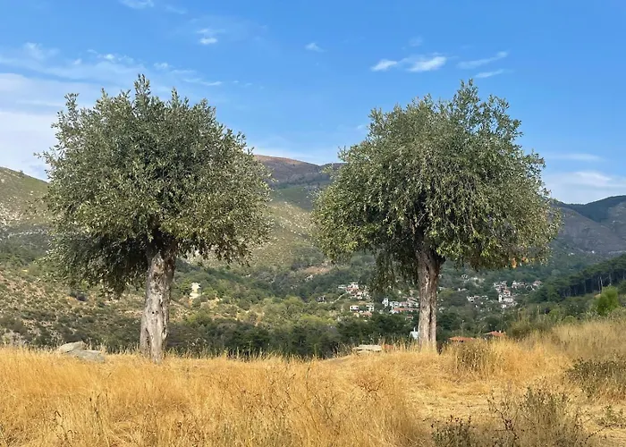 Apartment Matias Kastanies With Privat Parking Rachoni (Thasos)