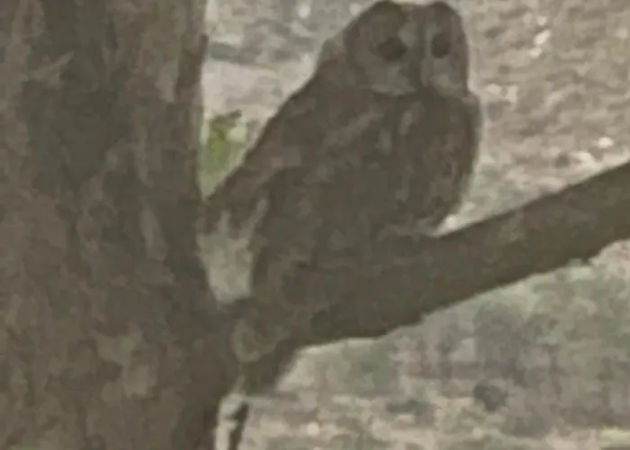 Matias Kastanies With Privat Parking *